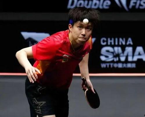 王楚钦吃娱乐圈瓜,揭秘明星幕后那些事